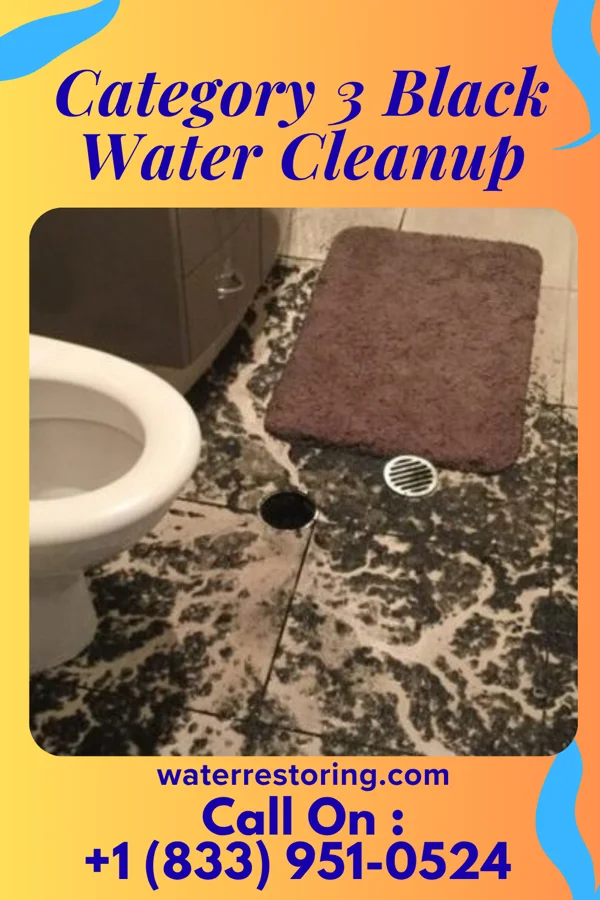 Category 3 Black Water Cleanup in Honeygo, MD