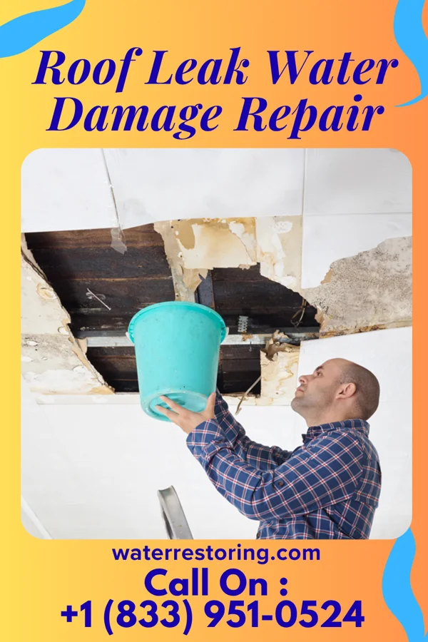 Roof Leak Water Damage Repair in Honeygo, MD