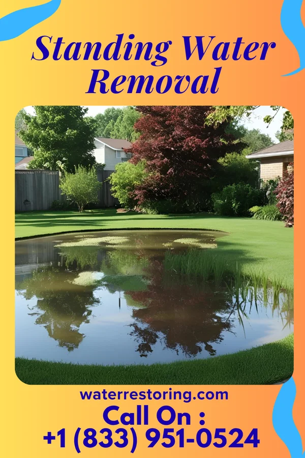 Standing Water Removal in Honeygo, MD